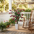 Aveyas 3ft Artificial Bougainvillea Tree with Flowers, 3 Feet Faux Floor Plant Fake Silk Blooming Trees with Pot for Indoor Outdoor Home Decor,House Living Room Office (3 ft Tall Including Raised Pot)