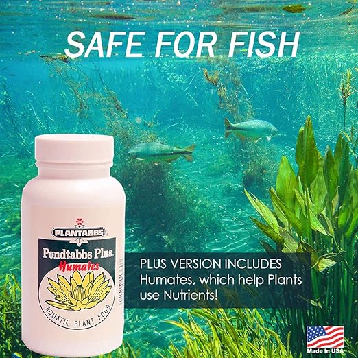 Planttabbs Products PondTabbs Plus - 300 ct