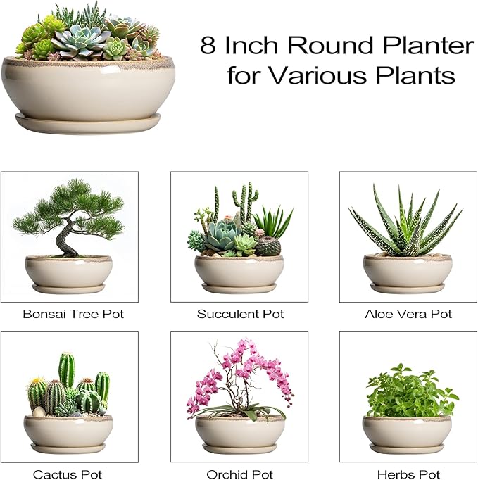 SQOWL Succulent Pots 8 Inch - Ceramic Bonsai Pots for Indoor Plants, Round Shallow Plant Pot with Drainage Hole and Saucer, Bowl Planter Outdoor, Patio Decor, Plant Lover Gifts, Beige