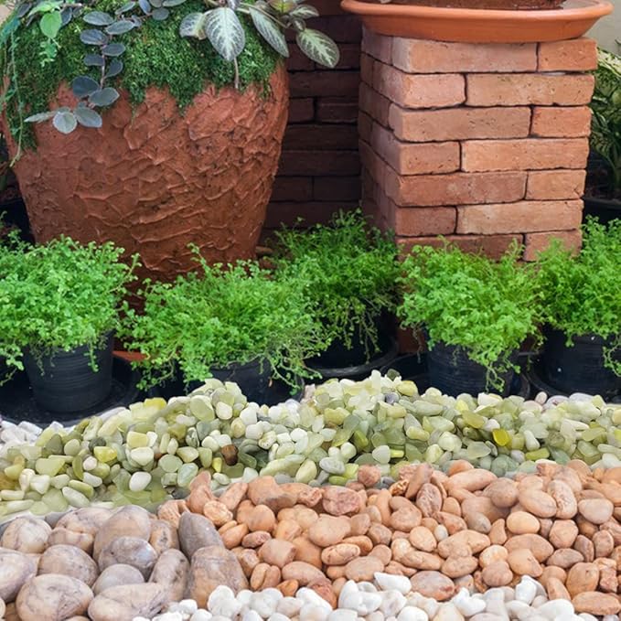 YISZM 10LB Succulent and Cactus Pebbles, 1/5 Inch Jade Natural Decorative Polished Stones, River Rocks for Plants, Vases and Outdoor Gardening,Green
