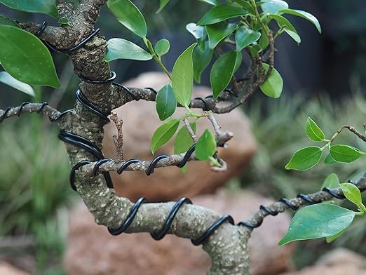 Bronze-3.5-Anodized Aluminum Bonsai Training Wire 250g Large Roll,Many Size to Choose,KSVZS Bendable Metal Wire for Crafts,Sculpting,Armature and Daily Use,Necessities for Family