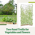 Gardener's Supply Company Two Panel Folding Trellis | Sturdy & Tall Metal Frame for Outdoor Garden Plant Support Climbing Flowers and Vegetables | 35-1/2"W x 58" H