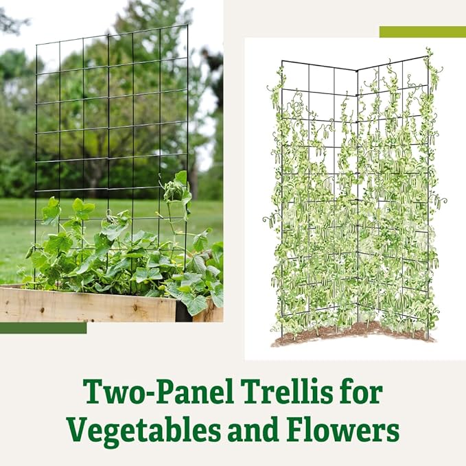 Gardener's Supply Company Two Panel Folding Trellis | Sturdy & Tall Metal Frame for Outdoor Garden Plant Support Climbing Flowers and Vegetables | 35-1/2"W x 58" H