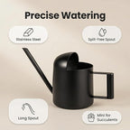IMEEA Mini Watering Can for Indoor Plants Stainless Steel Small Watering Can 11oz/300ml