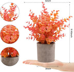 2 Pack Fall Small Fake Plants Eucalyptus Potted Artificial Plants Fall Decorations for Home Shelf Office Bathroom Desk Farmhouse Room Coffee Table Decor Fall Decor (Fall Orange)