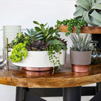 The HC Companies 6 Inch Round Plastic Succulent Capri Bowl 6"x6"x2.25" in Vanilla Bisque with Copper Bottom Color