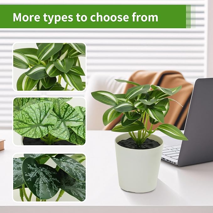 6 Pack Fake Plants for Room Decor,Mini Artificial Potted Plants for Home Office Living Kitchen Classroom Table Shelf Desk Farmhouse Bathroom Indoor Decor