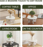 Small Plant Stand Kitchen Display Stand 10 inch Plant Holder Plant Stool Round Stand Risers Farmhouse Rustic Balcony Decor Pedestal Board Washed White