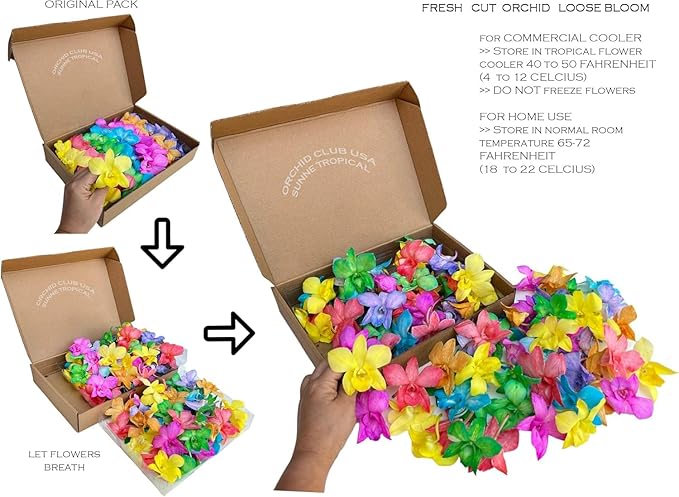 Miami Fresh Orchid Flower OrchidClub USA Sunne Tropical Loose Bloom Head DIY Lei food drink decoration (50 RAINBOW 50 CANDY)