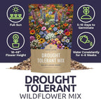 Drought Tolerant Wildflowers Mix – Bulk 5 Pounds – Over 600,000 Open Pollinated Non-GMO Seeds – 21 Different Dryland Species