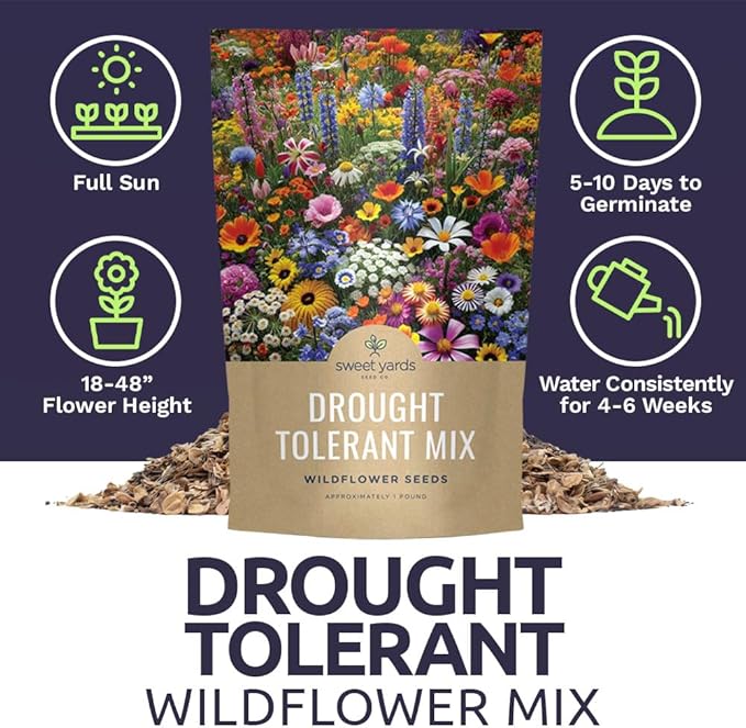 Drought Tolerant Wildflowers Mix – Bulk 5 Pounds – Over 600,000 Open Pollinated Non-GMO Seeds – 21 Different Dryland Species