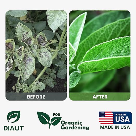 Neem Oil Spray for Plants with Peppermint Oil, Easy Ready to Use Natural Plant Wash and Foliage Care for Indoor and Outdoor Plants, Gardens, Houseplants & Vegetables, 16 oz