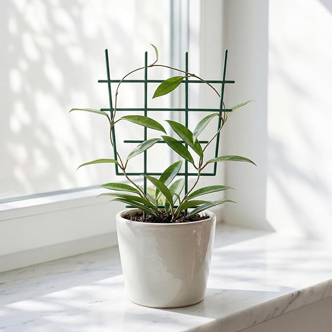 12inch Small Plant Trellis for Climbing Plants Indoor, 5Pcs Plastic Stackable Mini Garden Lattice for Potted Vines, Hoya, Pothos, Plastic Superimposed Support Stakes for Flower Vegetable (Green)