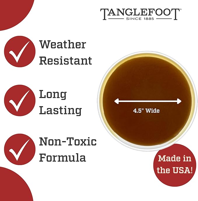 Tanglefoot Tree Care Kit – Sticky Tree Wrap & Applicator | Non-Toxic Outdoor Barrier for Crawling Insects | Includes 15oz Tree Tanglefoot, 3" x50' Tree Wrap & Applicator Tool