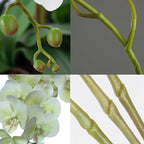 FagusHome 32 Inch Artificial Phalaenopsis Flowers 6 Pcs Artificial Orchid Flowers Stem Plants for Home Décor (Light Green), FH1000143