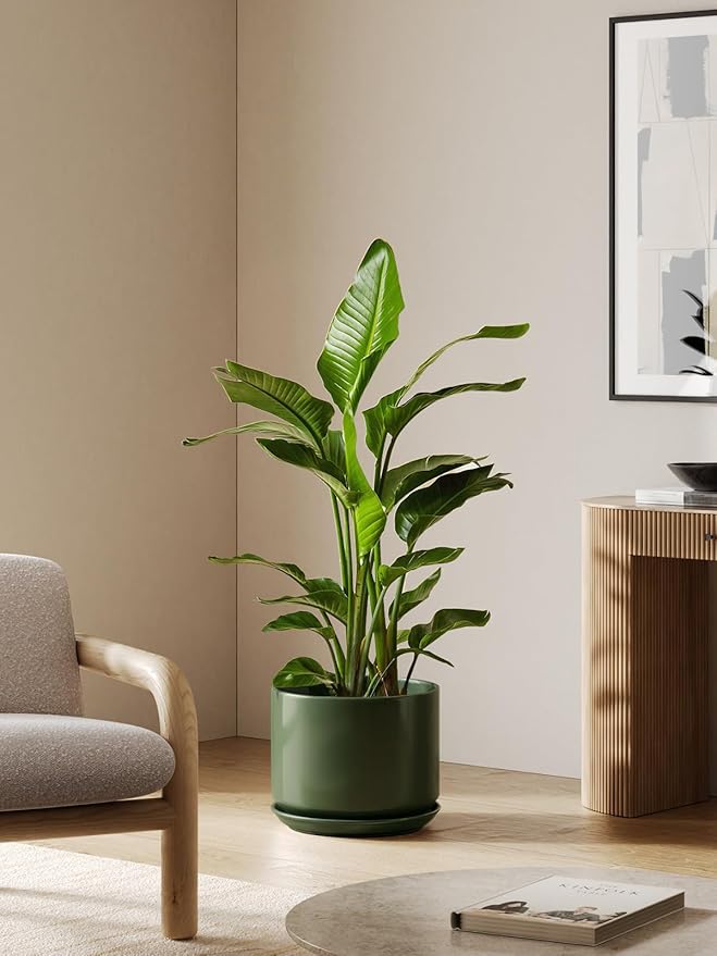 LE TAUCI 12 Inch Pots for Plants, Ceramic Plant Pots with Drainage Holes and Saucers, Elegant and Durable Large Plant Pot, Perfect for Home & Office Decor, Green