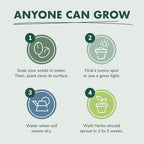 Indoor Herb Garden Starter Kit - Heirloom, Non-GMO Herb Seeds - Basil Thyme Parsley Cilantro Seed, Potting Soil, Pots, Scissors - DIY Grow Kits for Growing Herbs Indoors, Kitchen, Balcony, Window Sill