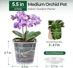 T4U Orchid Pot, 6 Pack 5.5 Inch Clear Orchid Pots with Holes and Saucers for Repotting, Plastic Flower Plant Pot with Drainage for Indoor Outdoor Plants, Slotted Orchids Planter for Root Health