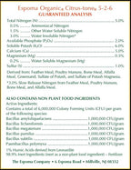 Espoma Organic Citrus-Tone 5-2-6 Natural & Organic Fertilizer and Plant Food for All Citrus, Fruit, Nut & Avocado Trees; 4 lb. Bag. Promotes Vigorous Growth & Abundant Fruit