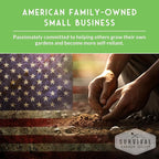 Scarlet Kale Seeds for Planting – Heirloom Purple Kale – Cold Hardy for Fall & Spring Vegetable Gardens – Crimson-Red Curly Leaves, Edible Garden Greens – Survival Garden Seeds (2 Packs)