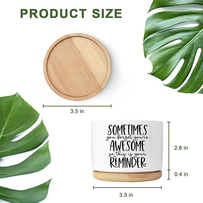 Cute Succulent Planter, Flower Cactus Plant Pot Gifts, Thank You Inspirational Gifts for Women Men Coworkers Teachers Plant Lovers, Office Home Windowsill Indoor Decor (No Plants)