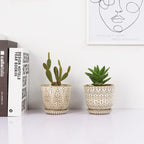Gepege Succulent Pots, 4 Inch Small Indoor Ceramic Planter Pot with Drainage Holes and Saucers for Plants- Creamy White - Set of 4