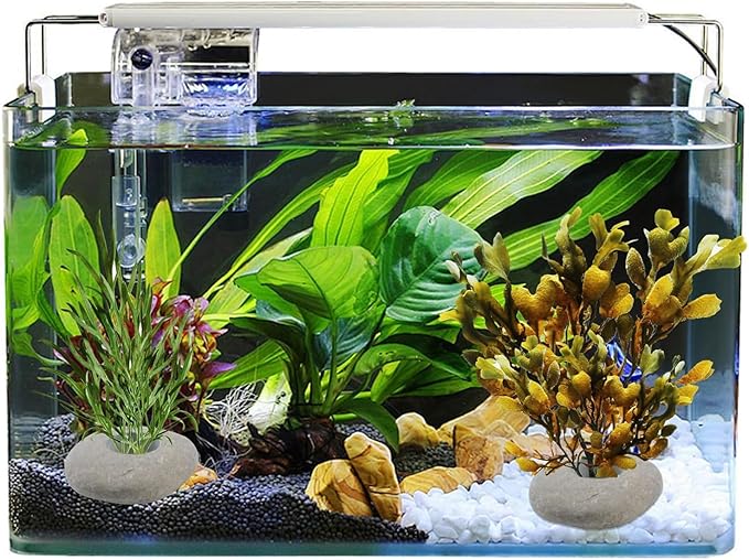 6 Pcs Natural River Stone Plant Weights for Aquarium, Pebble Aquatic Plants Fixed Ring, Aquarium Plant Anchors, Unique Shape & Size for Aquarium Landscape Decoration (0.79'' Hole Diameter)