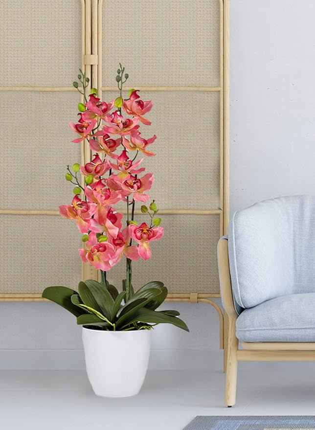 Serene Spaces Living Pink Orchid in White Ceramic Pot, Perfect for Weddings and Home Décor, Real Looking Plant for Decoration, Sold Individually, Measures 26" Tall X 6" Diameter