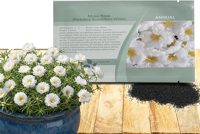 Outsidepride White Moss Rose Seeds - 500 Pcs Annual, Drought & Heat Tolerant, Pollinator Friendly Ground Cover Seeds for Planting w/Vibrant Blooms & Succulent Foliage, Ideal for Xeriscaping