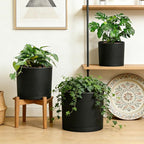 Large Plant Pots Set of 3 – 8", 9", 10" Indoor Flower Pots with Drainage Holes and Saucers, Big Planters for Monstera, Fiddle Leaf Fig, Snake Plant – 5 Colors