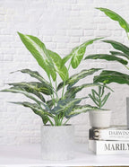 16" Small Fake Plants Artificial Tropical Faux Plants Indoor for Office Desk Shelf Bathroom Home Decor