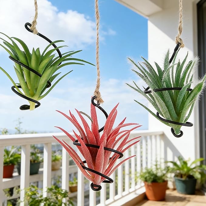 6 Pack Hanging Air Plant Holder, Spiral Wire Metal Hangers for Tillandsia, Adjustable Geometric Airplants Stand with Jute Ropes, Minimalist Wall Window Home Decor, Black Finish