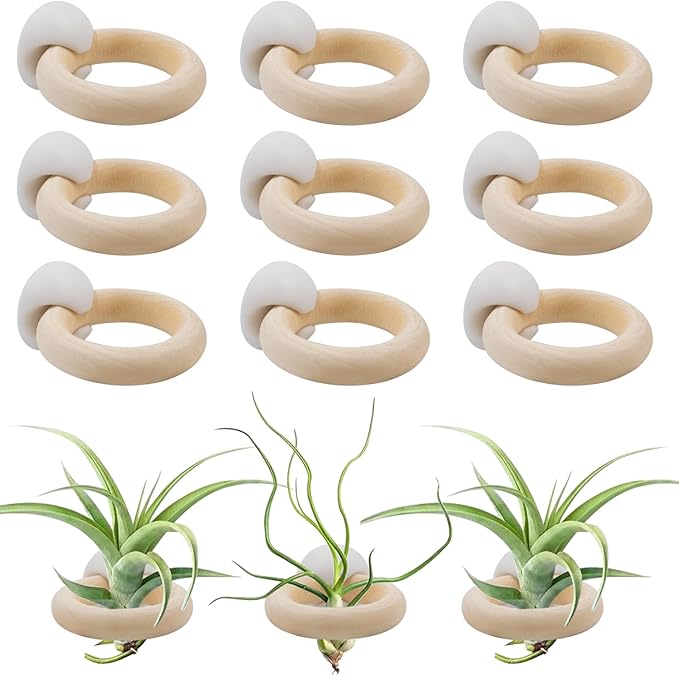 20 PCS Air Plants Holder with White Self-Adhesive Buckles, Wall Mounted Wooden Live Tropical Air Plant Hanger for Home Office Decoration (Plants Not Included)