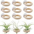 20 PCS Air Plants Holder with White Self-Adhesive Buckles, Wall Mounted Wooden Live Tropical Air Plant Hanger for Home Office Decoration (Plants Not Included)