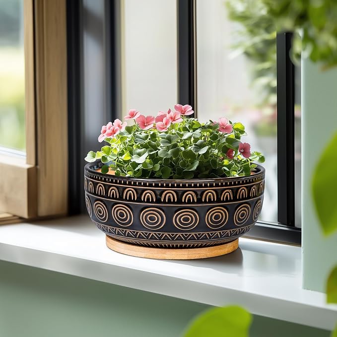 Eightpot Ceramic Bonsai Pots - 8 Inch Plant Pot for Succulent, Round Planter for Indoor Plants, Shallow Planters with Drainage Hole and Tray, Boho Bonsai Bowl, Living Room Decor, Black