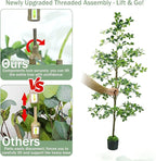 Artificial Black Olive Tree 6FT, Fake Potted Tree for Indoor Outdoor, Lifelike Faux Floor Plants with Moss Topper and Cotton Basket, Home Office Living Room Bedroom Doorway Hallway Decor
