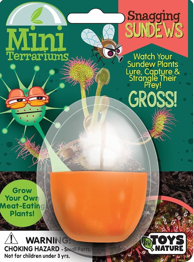 Toys By Nature Mini Terrarium Carnivorous Plant Bundle, 100% USA Made Complete Starter Kit Includes 2 Each of Flytraps, Pitcher Plants, Sundews, Easy to Grow Planting Seeds Just Add Water