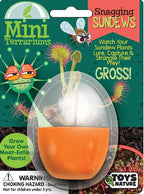 Toys By Nature Mini Terrarium Carnivorous Plant Bundle, 100% USA Made Complete Starter Kit Includes 2 Each of Flytraps, Pitcher Plants, Sundews, Easy to Grow Planting Seeds Just Add Water