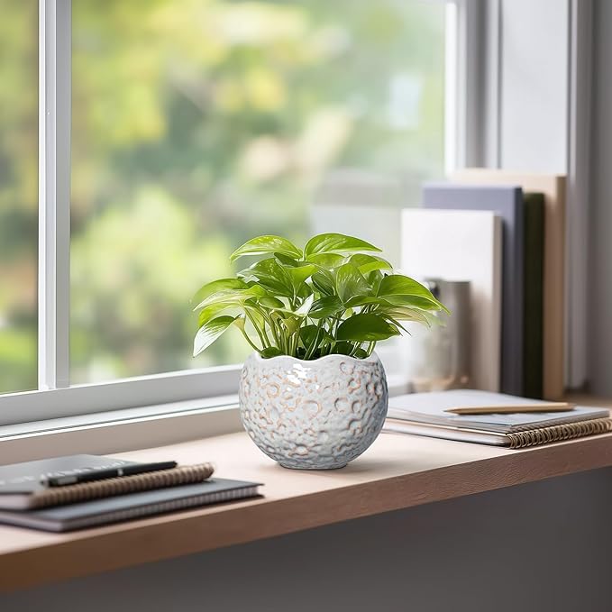 4 Inch Plant Pots - Ceramic Flower Pot for Indoor Outdoor Plants, Small Plant Pot with Drainage Hole and Plug, Round Planter, Unique Plant Pots, Home Decor, Gardening Gifts for Women, Grey