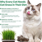 Groundio Cat Grass Seeds, All in 1 Growing Kit for Indoor Cats, Organic Cat Grass Seed with High Germination Rate, Heirloom | Non-GMO | Coco Coir | BPA Free Container