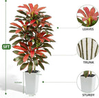 Artificial Red Dracaena Tree - 5FT Tall Fake Plants with White Tall Planter - Artificial Plants Indoor Floor Plant in Pot - Large Tropical Fake Yucca Potted Tree for Home Office Living Room Decor
