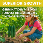 Boston Pickling Cucumber Seeds for Planting - 150 𝗡𝗢𝗡-𝗚𝗠𝗢 Heirloom Cucumber Seeds for Planting in Raised Beds, Containers, Trellises - Made in USA (Cucumis sativus)