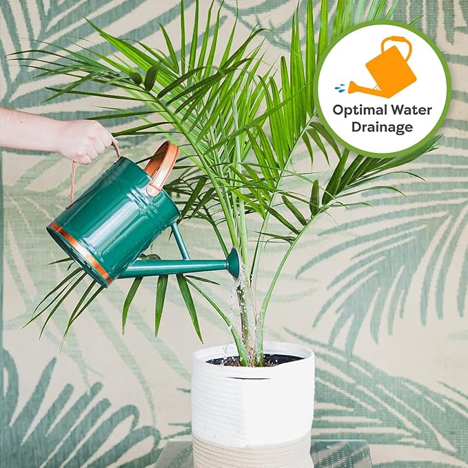 Perfect Plants Indoor Plant Soil 8qt | Perfectly Balanced Potting Mix | Gardening Substrate for All Varieties of Live houseplants (Pack of 2)