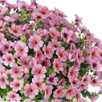 HyeFlora Artificial Fake Hanging Plants Flowers Basket for Outdoor Outside Summer Decor, Faux Silk Pink Daisy Realistic UV Resistant for Porch Patio Balcony Home Yard