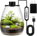 Maxdot Glass Plant Terrarium Kit with Light for Succulent, Moss, Miniature Gardening Landscape, Betta Fish Tank, Office Home Decoration, Plant Lovers Gifts (6.9 x 7.8 Inch)