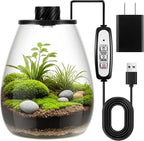Maxdot Glass Plant Terrarium Kit with Light for Succulent, Moss, Miniature Gardening Landscape, Betta Fish Tank, Office Home Decoration, Plant Lovers Gifts (6.9 x 7.8 Inch)