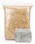 North Spore 'MushBucket' Italian Oyster Mushroom Bucket Grow Kit | Grow Mushrooms | Organic Mushroom Grow Kit
