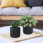 Winlyn Set of 3 Small Artificial Potted Succulent Plants Faux Aloe Hops String of Pearls Succulents in Black Cylinder Pots for Gift Home Office Bathroom Indoor Outdoor Table Shelf Windowsill Décor