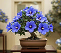 Hibiscus Bonsai Tree Seedling for Growing - 1 Yr Old Seedling - Great Indoor Plant - Attractive Flowering Rose of Sharon Hibiscus Bush Bonsai