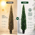 7 Feet Outdoor Artificial Topiary Cedar Tree, Set of 2 UV Resistant Potted Faux Cedar Trees for Outdoors and Indoors, Decorative Fake Shrubs Topiary Trees for Home Living Room Front Door Decor